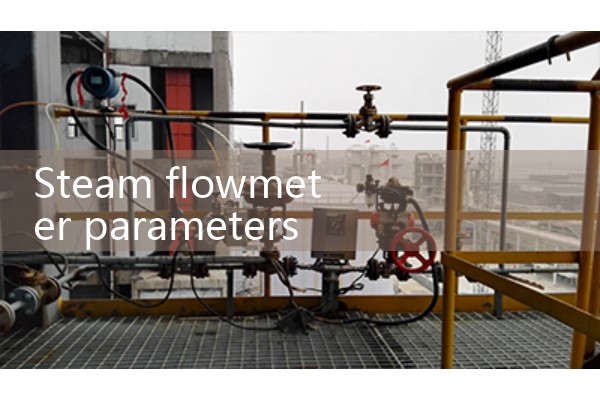 Parameters of steam flowmeter
